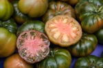 Tomate raf (Solanum lycopersicum var. RAF)
